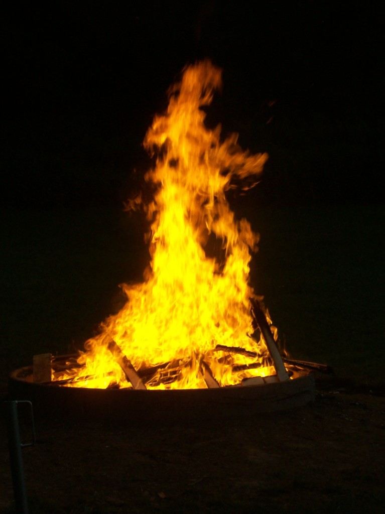 Neudenau 2010 012.jpg